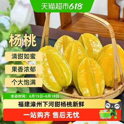胡鲜森福建漳州新鲜杨桃