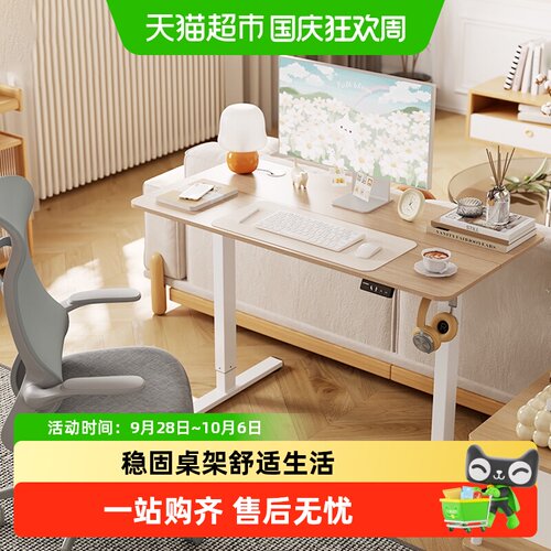 乐歌电动家用简约学习升降桌