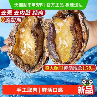 福建连江鲍鱼肉去壳去牙去内脏新鲜冷冻特大纯肉商用