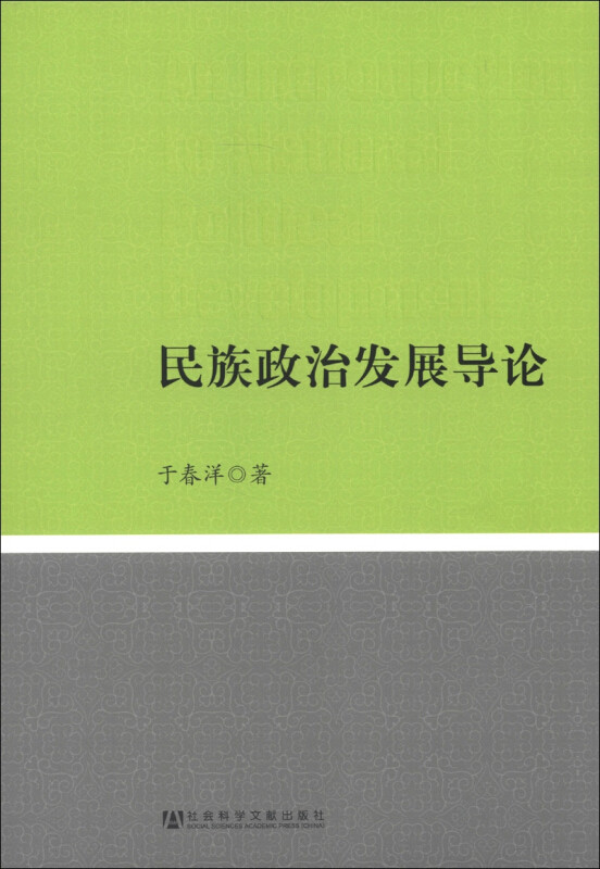 民族政治 于春洋 民族学政治学 政治书籍社会科学文献出版社图片
