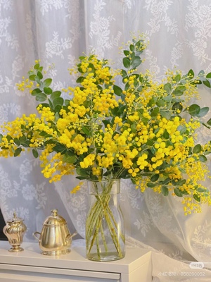 不售后，金合欢1扎，购买三单包邮