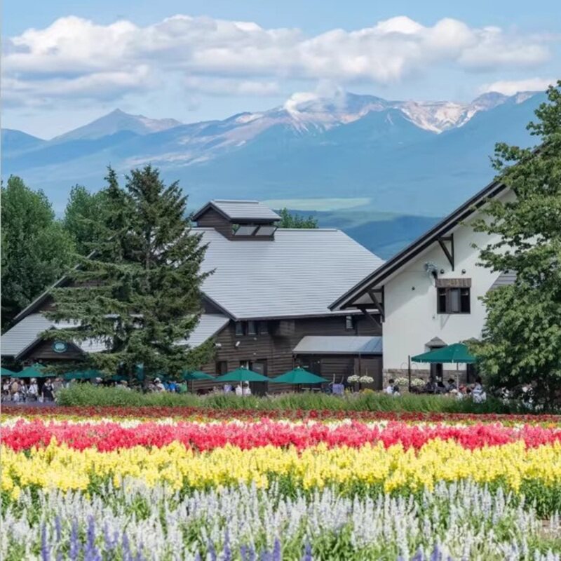 北海道一日游纯玩小团