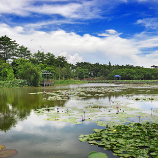 [南沙天后宫-大门票]南沙天后宫景区门票