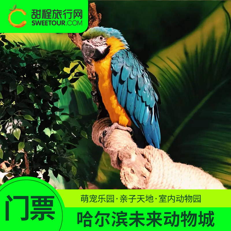 [future zoo未来动物主题公园-大门票]哈尔滨未来动物城门票