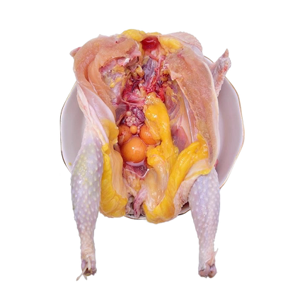 顺丰包邮林间散养3年老母鸡