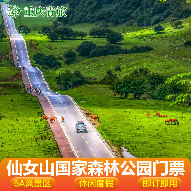 仙女山景区门票