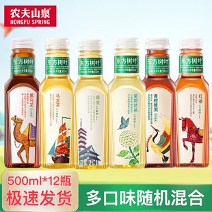 东方树叶乌龙茶茉莉花茶红茶绿茶500ml12瓶 爆品推荐