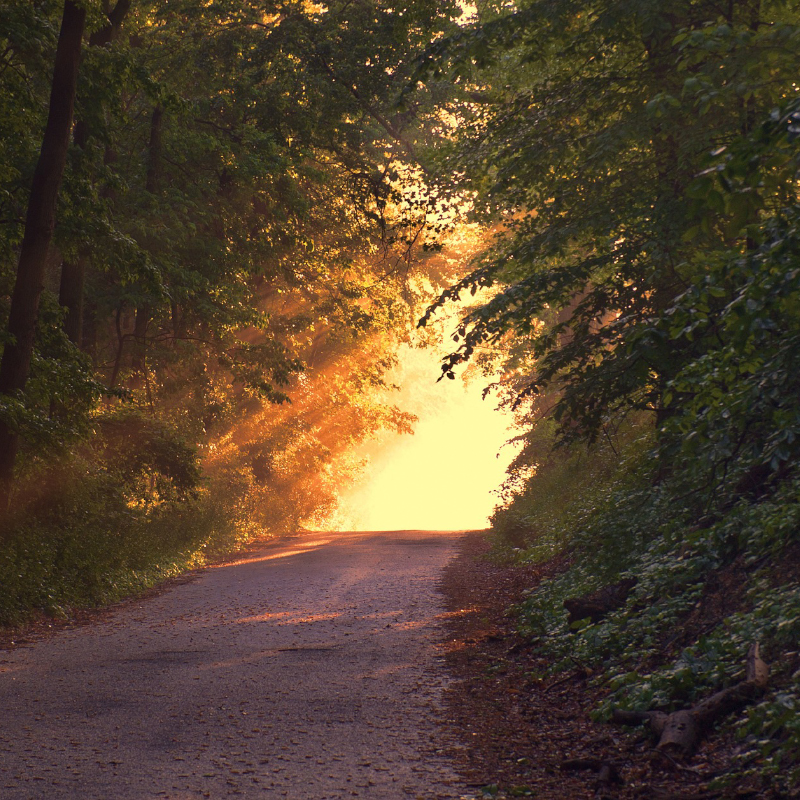 库尔德宁一日游纯玩小团