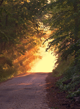 库尔德宁（轻奢小车6人畅享一日游）伊宁起止（景区全程不换乘）