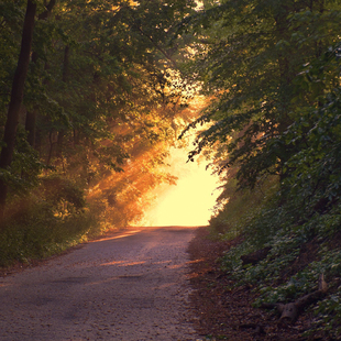 库尔德宁（轻奢小车6人畅享一日游）伊宁起止（景区全程不换乘）