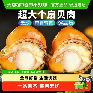云储生活扇贝肉新鲜冷冻特大号带黄带膏日照红贝海鲜水产鲜活批发