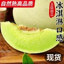 包邮 正宗玉菇甜瓜新鲜水果应季 蜜瓜香瓜冰淇淋脆甜白瓜整箱