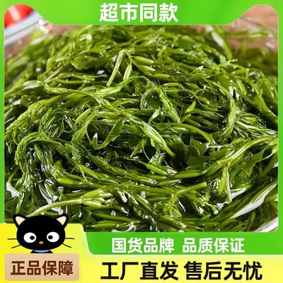 霞浦盐渍马尾藻鞭炮笋新鲜海藻海草谷穗龙须菜长寿菜商用批发