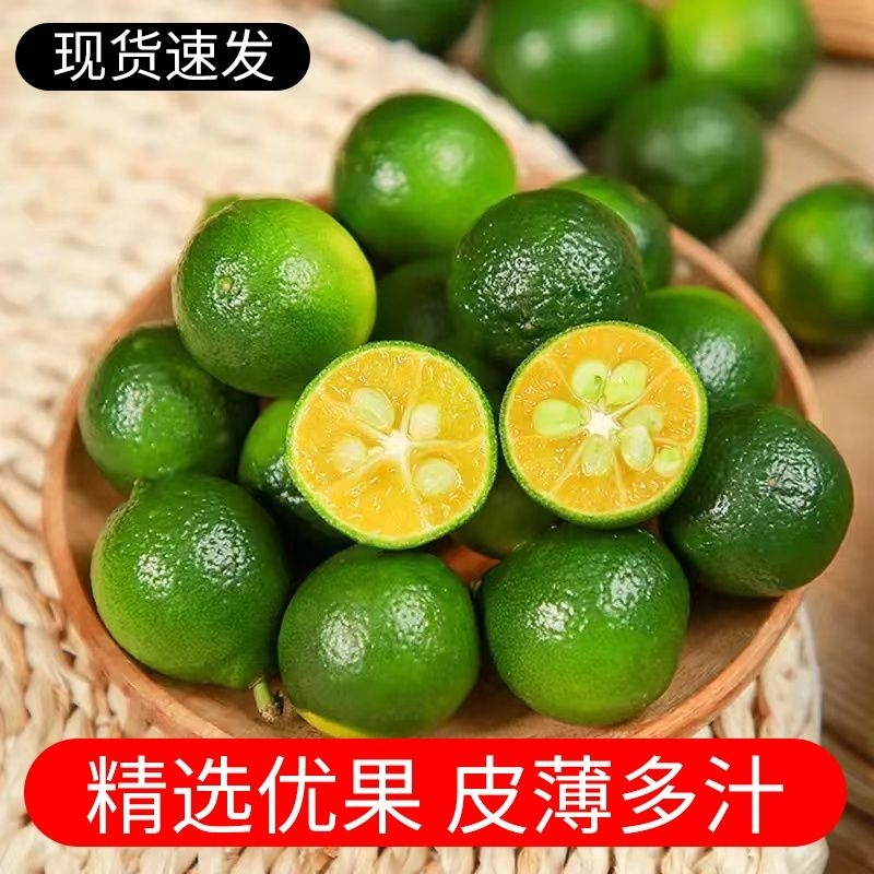 海南青金桔小金桔酸柠檬奶茶店专用小青橘酸桔仔酸爽多汁皮薄限秒