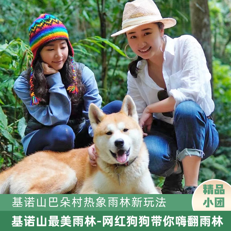 西双版纳基诺山雨林徒步巴朵村热境内跟团游