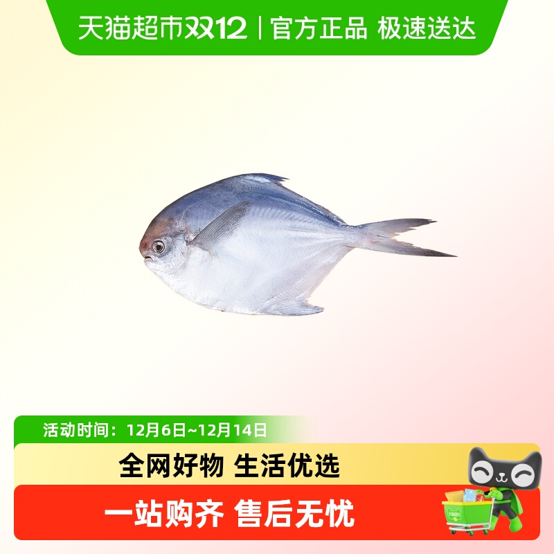 拾鲜生新鲜海捕银鯧鱼