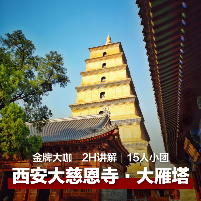 西安旅游西安大慈恩寺大雁塔半日游2H深度大咖15人小团讲解含门票