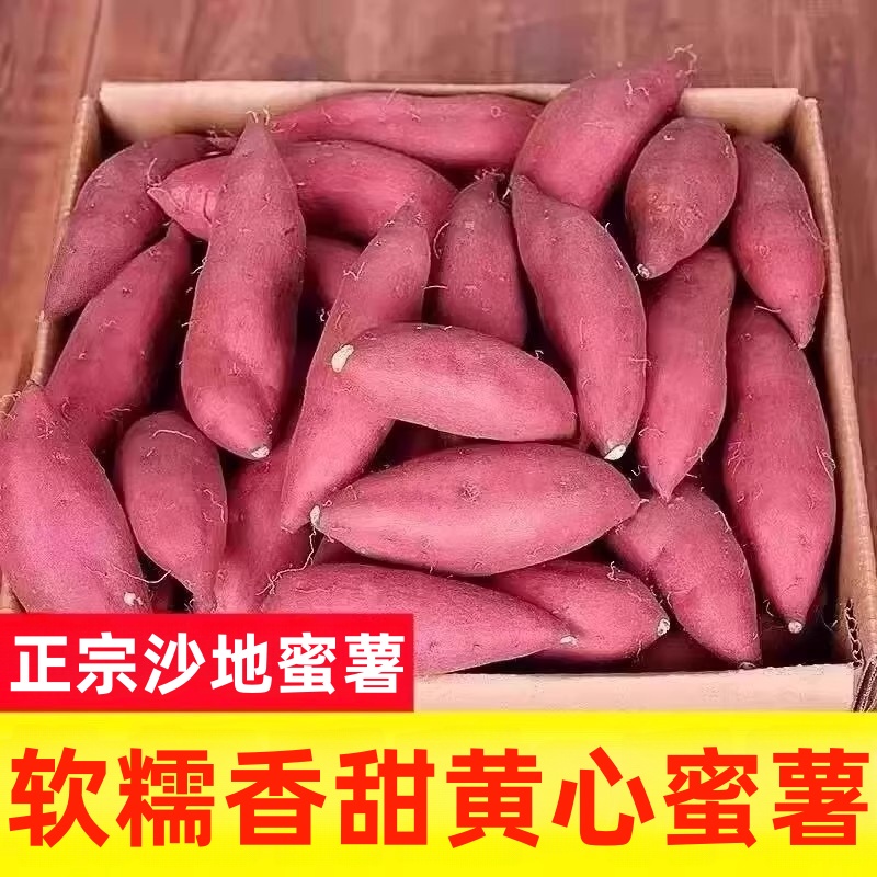 新鲜沙地蜜薯板栗红薯糖心地瓜番薯山芋农家自种现挖龙九黄心红薯
