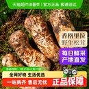 特级甄选 新鲜野生松茸云南香格里拉出口级未开伞菌菇礼盒