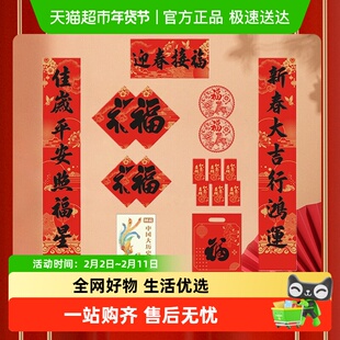 【春节版】图说中国大历史年表+古代历代帝王概览 中国通史手册书