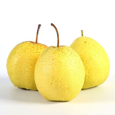 河北雪梨冰糖雪梨赵州雪花梨新鲜水果可熬汤烤梨甜脆营养美味