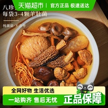 半山农云南七彩菌汤包羊肚菌竹荪菌菇包特产干货煲汤食材