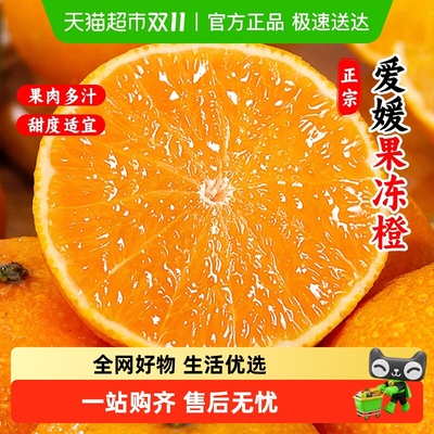 米乐果爱媛果冻橙新鲜爱媛38号