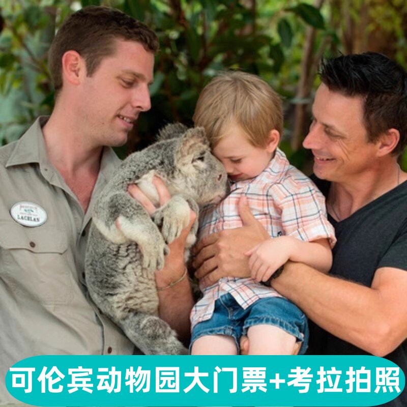 当天可订澳洲澳大利亚黄金海岸可伦宾动物园考拉拍照早餐下午茶