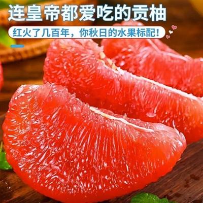 正宗福建平和琯溪红心蜜柚红肉薄皮超甜新鲜水果应季现摘柚子批发
