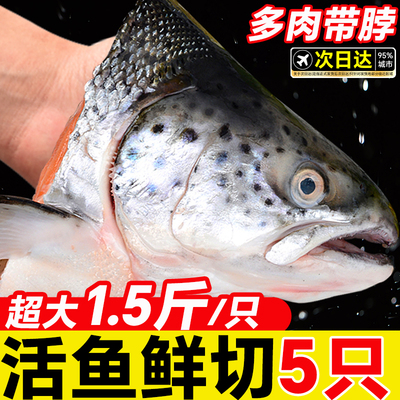 挪威三文鱼头新鲜冷冻超大深海鱼头三文鱼边角料人吃烧烤煲汤海鲜