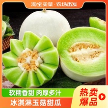 山东玉菇甜瓜4.5斤起当季新鲜蜜瓜香甜软糯水润饱满淘客