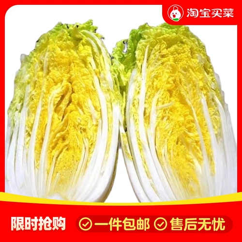 Свежая большая детская капуста детская капуста выбор капусты