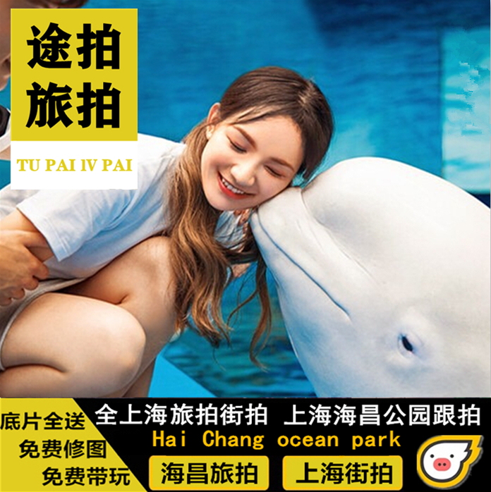 上海海昌海洋旅拍