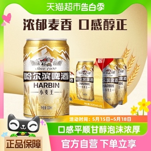 Beer Harbin 哈尔滨啤酒哈啤小麦王330ml 6听单提装 易拉罐