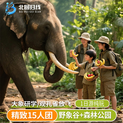 云南西双版纳野象谷+原始森林公园一日游-15人精品团真纯玩不进店