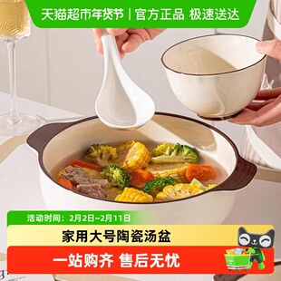 佩尔森釉下彩双耳汤碗家用2025新款大号面碗陶瓷汤盆高级感大盆碗