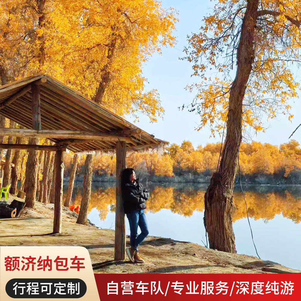 金塔额济纳旗胡杨林旅游包车纯拼环线敦煌张掖嘉峪关银川巴丹吉林