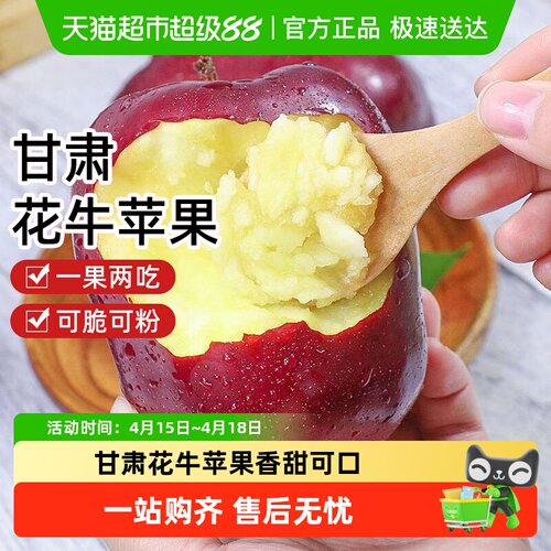 樱洛华正宗天水花牛苹果粉面香甜