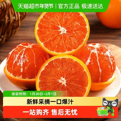 德沃多血橙新鲜水果当季现摘橙子