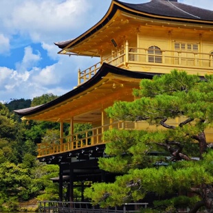 日本古韵一日游 金阁寺+清水寺+伏见稻荷大社+奈良公园心斋桥