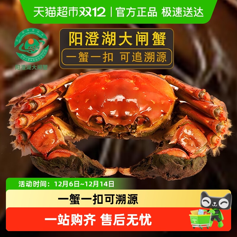 毛氏阳澄鲜活大闸蟹