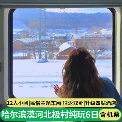 哈尔滨雪乡北极村漠河小团