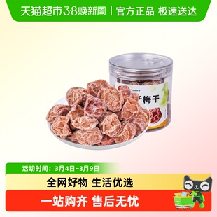 佳宝酸甜话梅干105g 青梅干休闲蜜饯零食果干酸梅话梅干