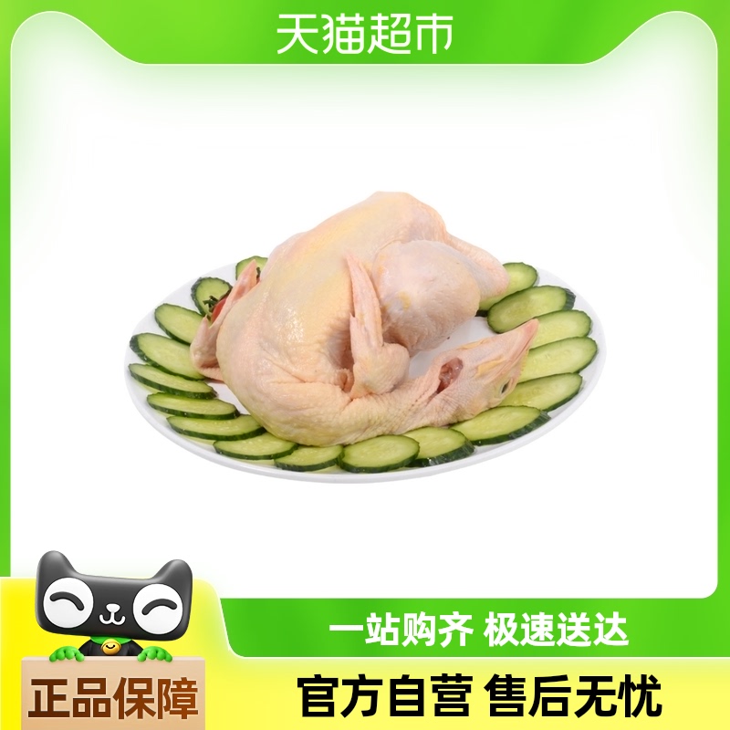 ѡƼ700g-1000g/ֻ(䶳31.06Ԫ(88VIP 95)