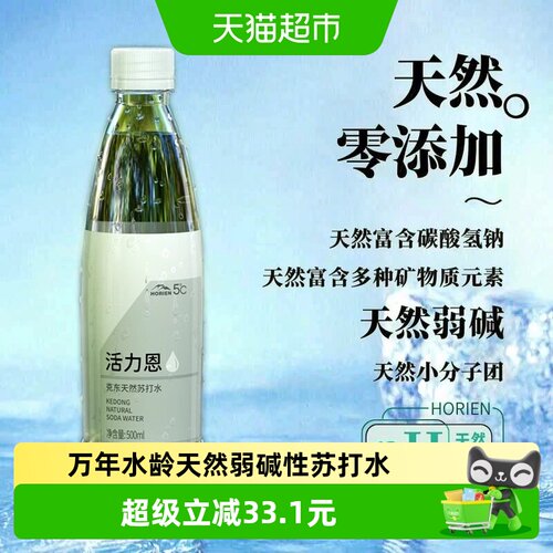 HORIEN/活力恩苏打水500ML*15瓶