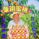 正宗蒙阴金蜜黄桃应季 水果 现摘现发整箱 包邮