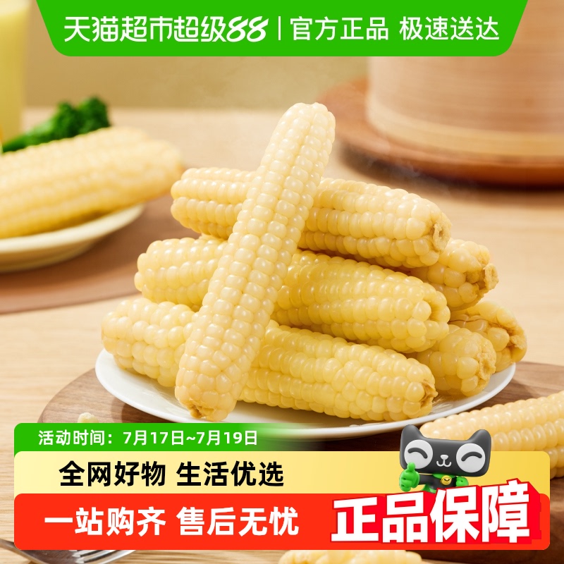 西双版纳拇指小玉米米