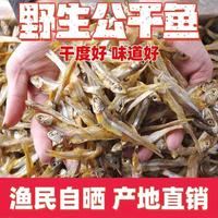 小魚干500g公干魚新貨海水海燕魚干海鮮自曬風(fēng)干魚丁香魚白帆魚