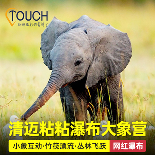 清迈曼谷粘粘瀑布大象营日游秘密纳财大象营骑象漂流丛林飞跃黏黏