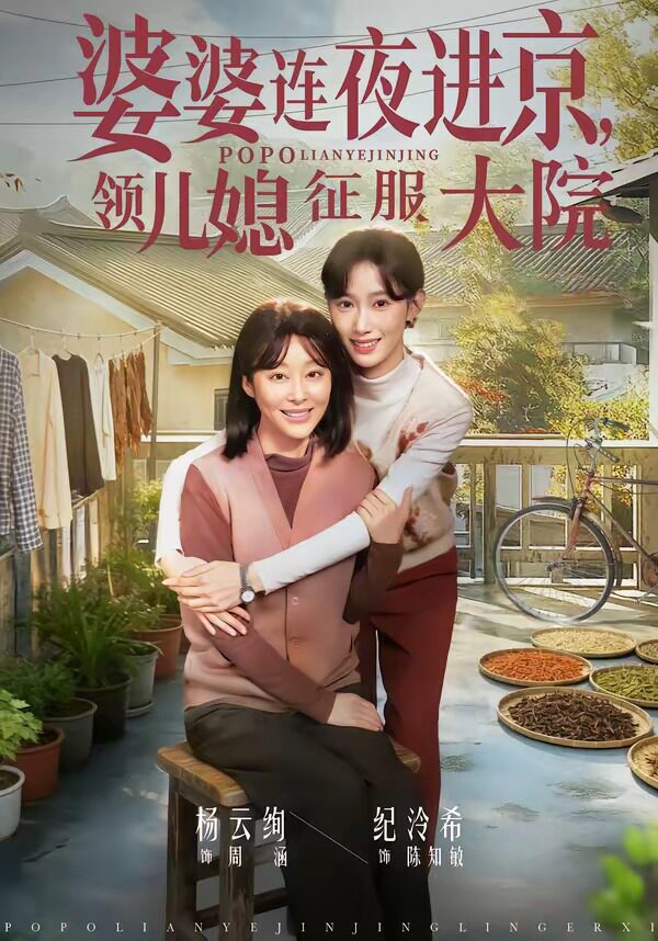 婆婆连夜进京，领儿媳征服大院